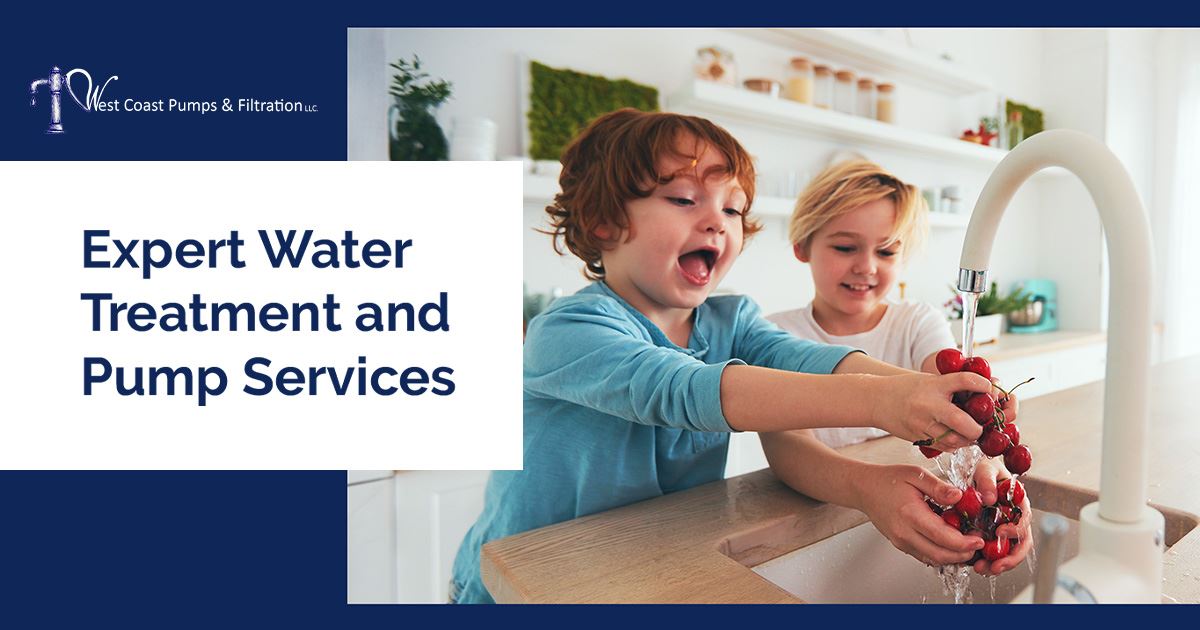 Water Filter Replacement in Olympia Water Filter Installations